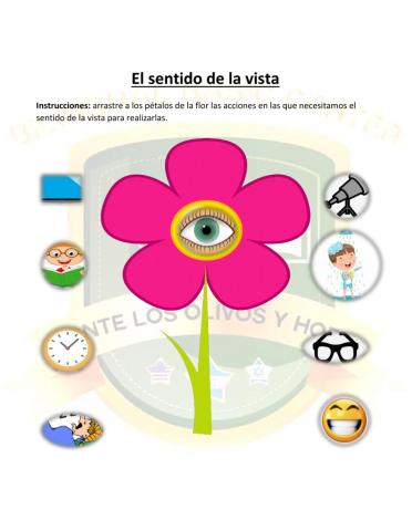 El sentido de la vista