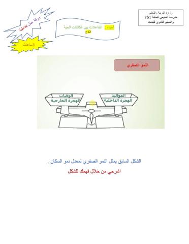 النمو الصفري