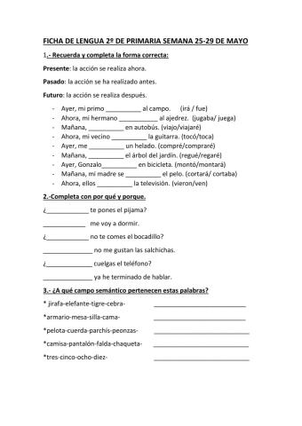 El verbo,campo semántico