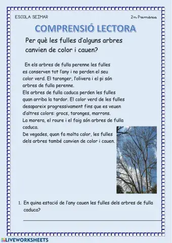 Els arbres