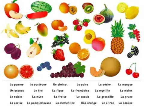 Les Fruits