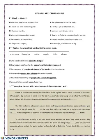 Crime Nouns - Vocabulary