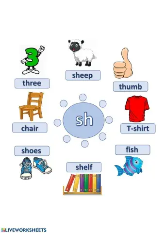 First Friends 2, Unit 6