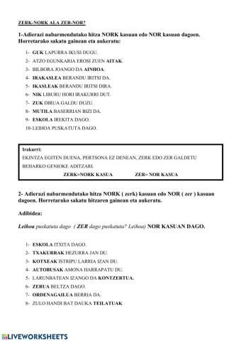 Nor edo nork aukeratzeko ariketa