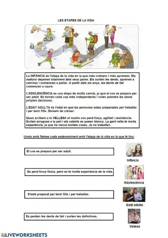 Les etapes de la vida