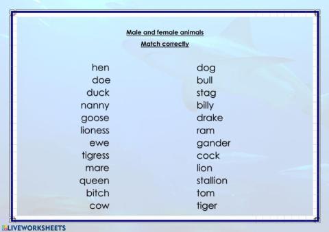 Male and female animals