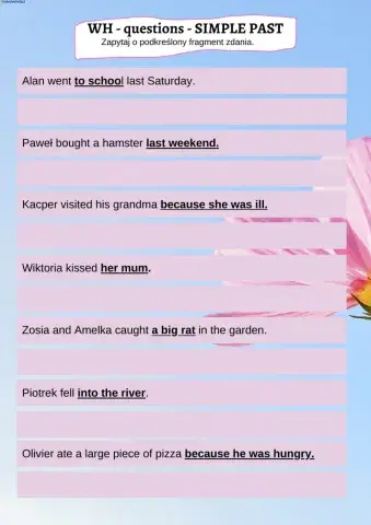 WH - questions - SIMPLE PAST