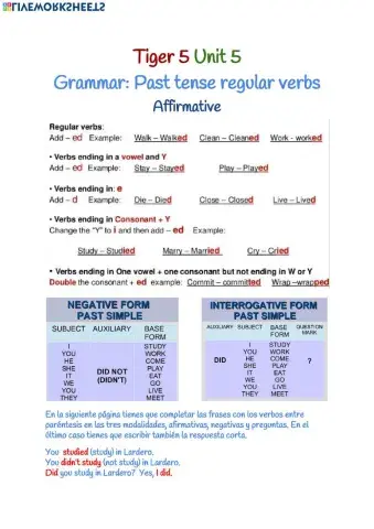 Tiger 5 Unit 5 Grammar