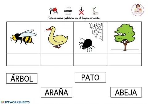 Lectura global primavera