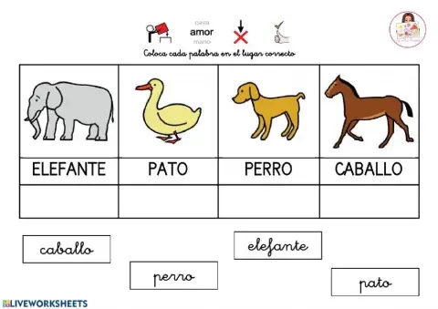 Mayúsculas y minúsculas