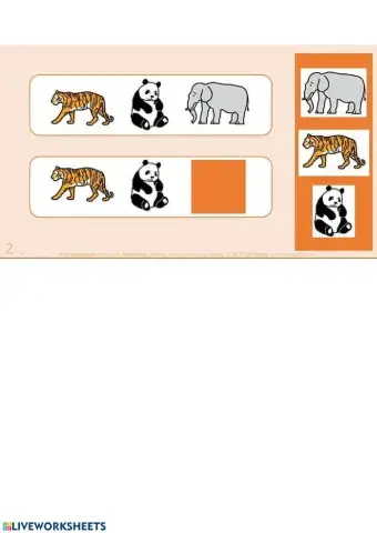 Maestra Educación Especial