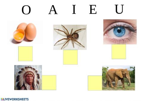 Unix cada vocal a la foto corresponent