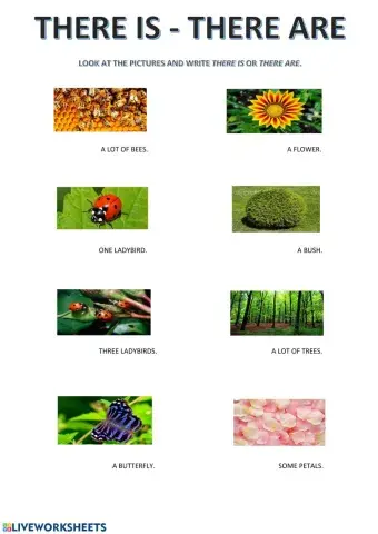 There is - there are