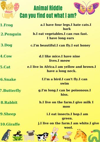 Animal Riddle