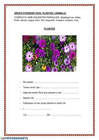 Característiques plantes i animals