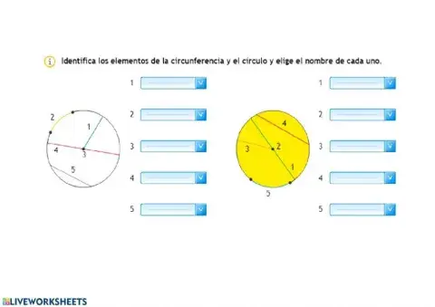 Elementos del círculo y circunferencia