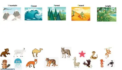 Animals Habitat - Matching