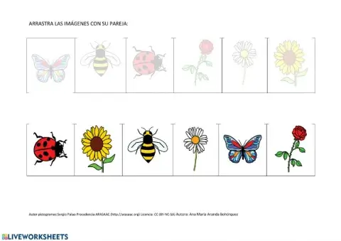 Atención: vocabulario primavera 2