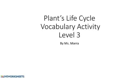 Plant Life Cycle Vocabulary Activity