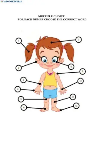 Multiple choice body parts