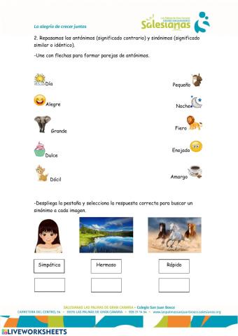 Sinónimos y antónimos