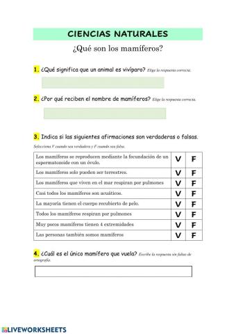 ¿Qué son los mamíferos?