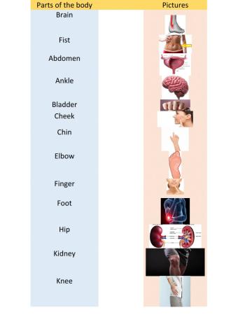 Parts of the body