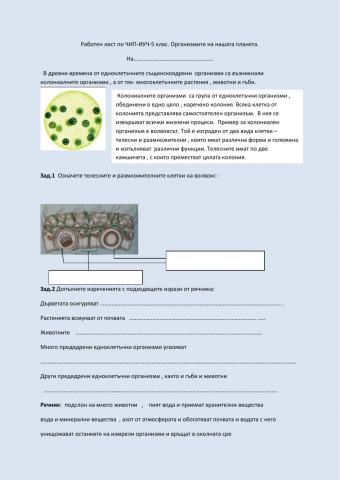 Организмите на нашата планета