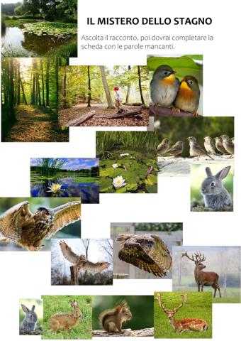 Il mistero dello stagno - Ascolto