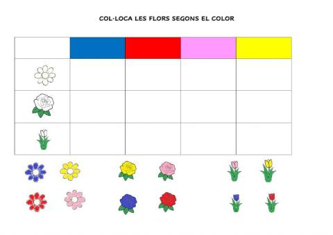 Jardiner-flors colors