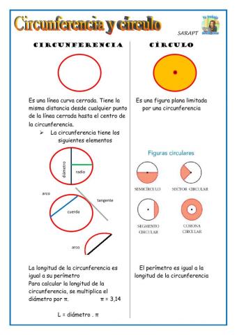 Circulo y circunferencia