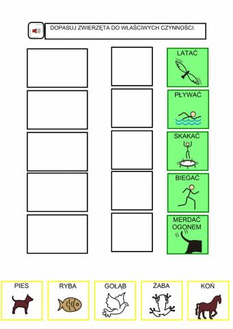 Jakie zwierzęta tak robią?