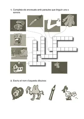 Activitats d'ortografia