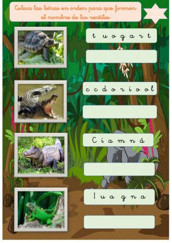 Nombres reptiles