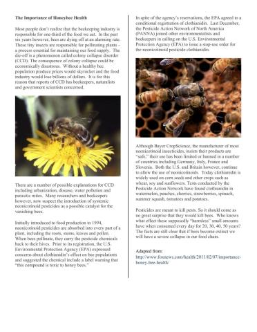 Honey Bee Reading