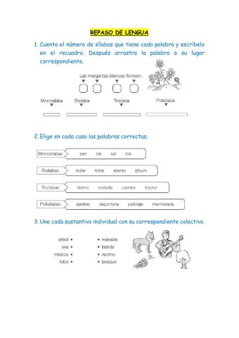 Repaso de lengua segundo 01