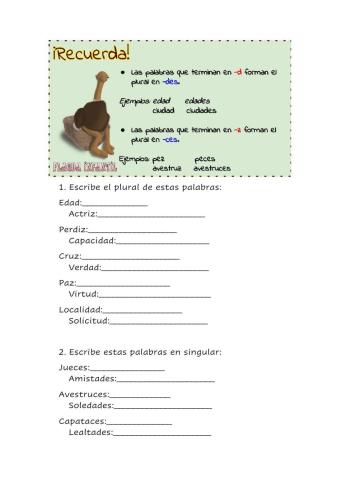 3º palabras acabadas en -d o -z