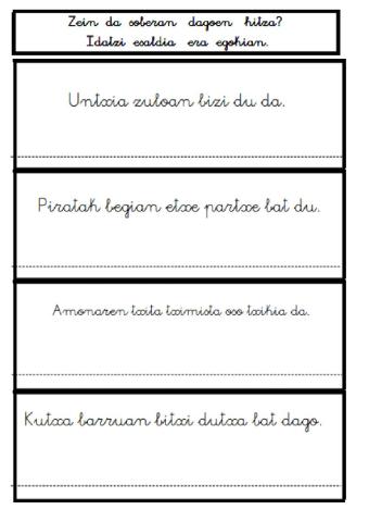 Idatzi esaldia era egokian