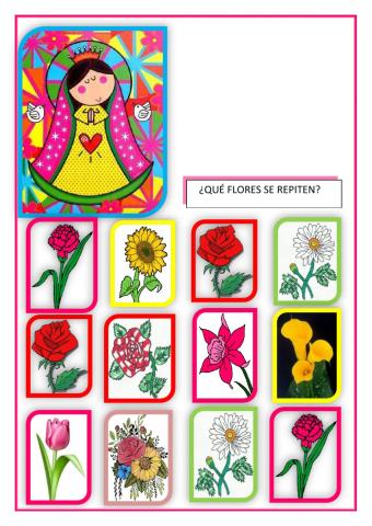 Flores