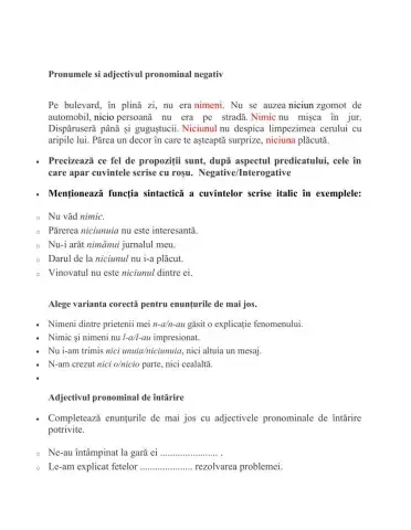 Pronumele si adjectivul pronominal negativ, adjectivul pronominal de întărire