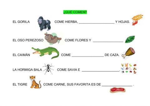 ¿Qué comen?