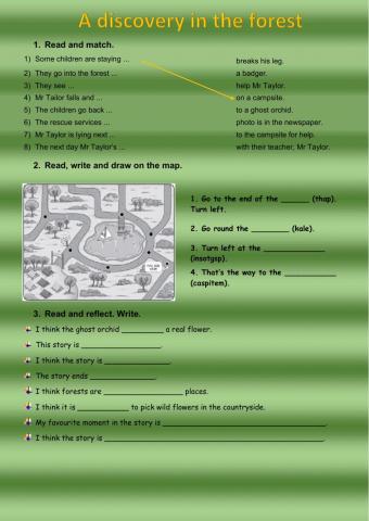 A Discovery in the Forest