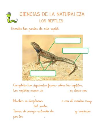 Los reptiles