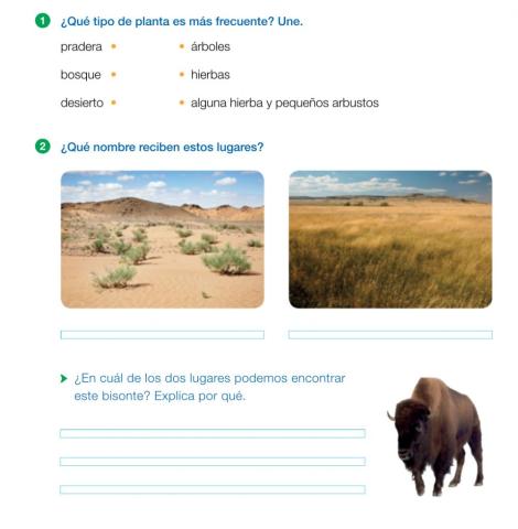 Los tipos de plantas según la zona.