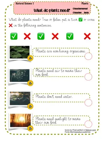 What do plants need?