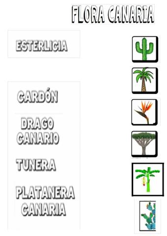 Flora Canaria