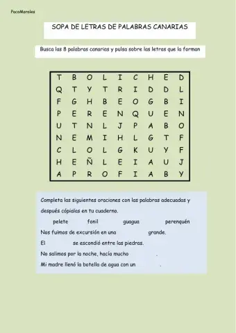 Sopa de letras palabras canarias 1