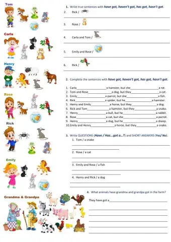 Have got has got a pet