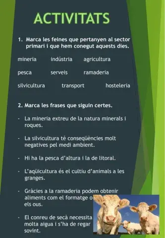 Activitats sector primari