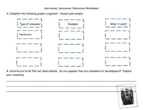 Herbivores, Carnivores, Omnivores
